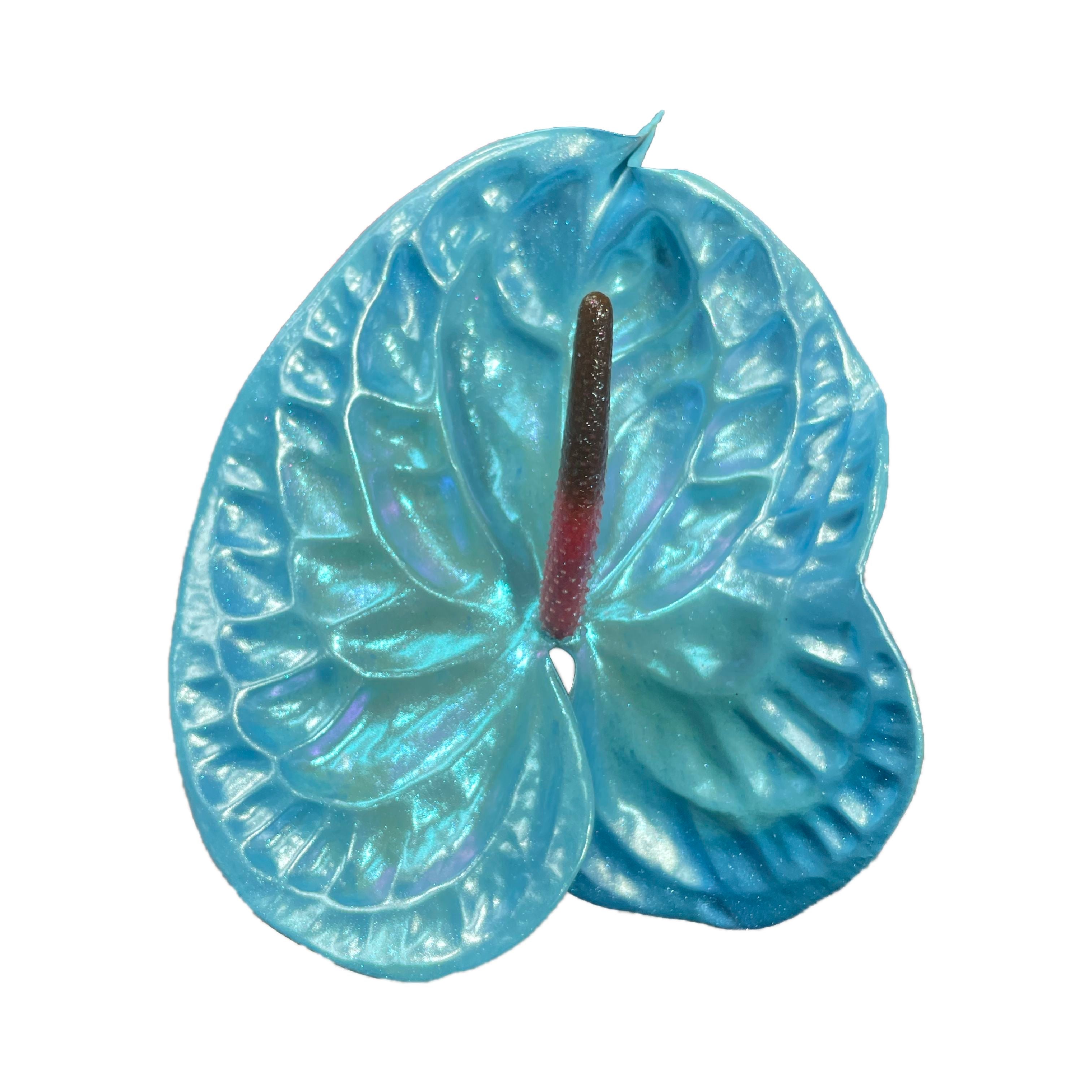 blue anthurium flowers A Dream Come Blue – Haus of Stems LLC