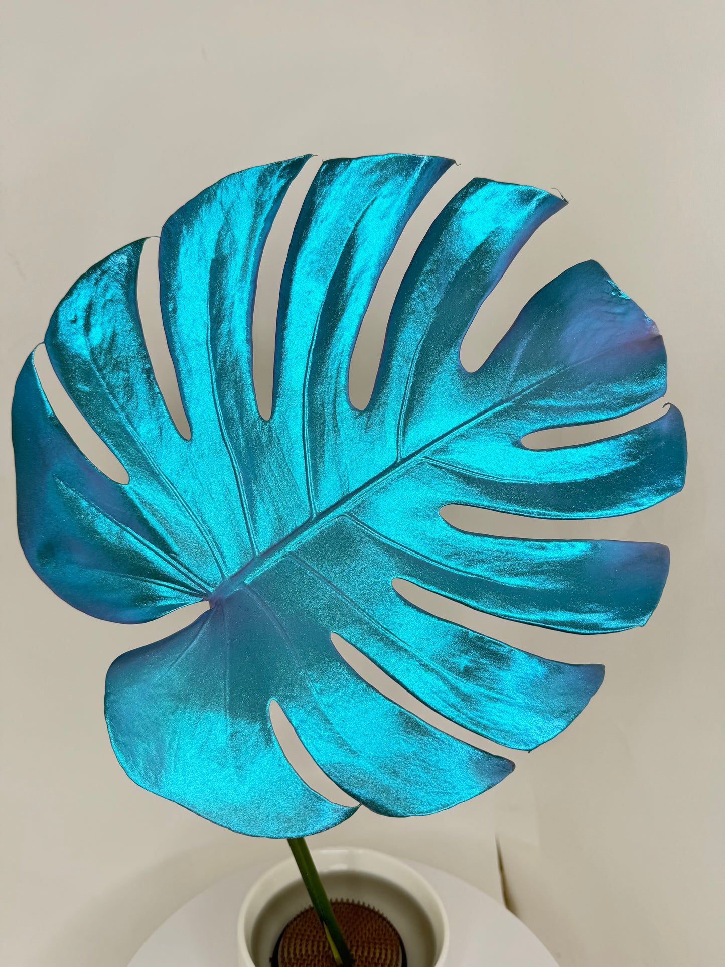 Aura Monster