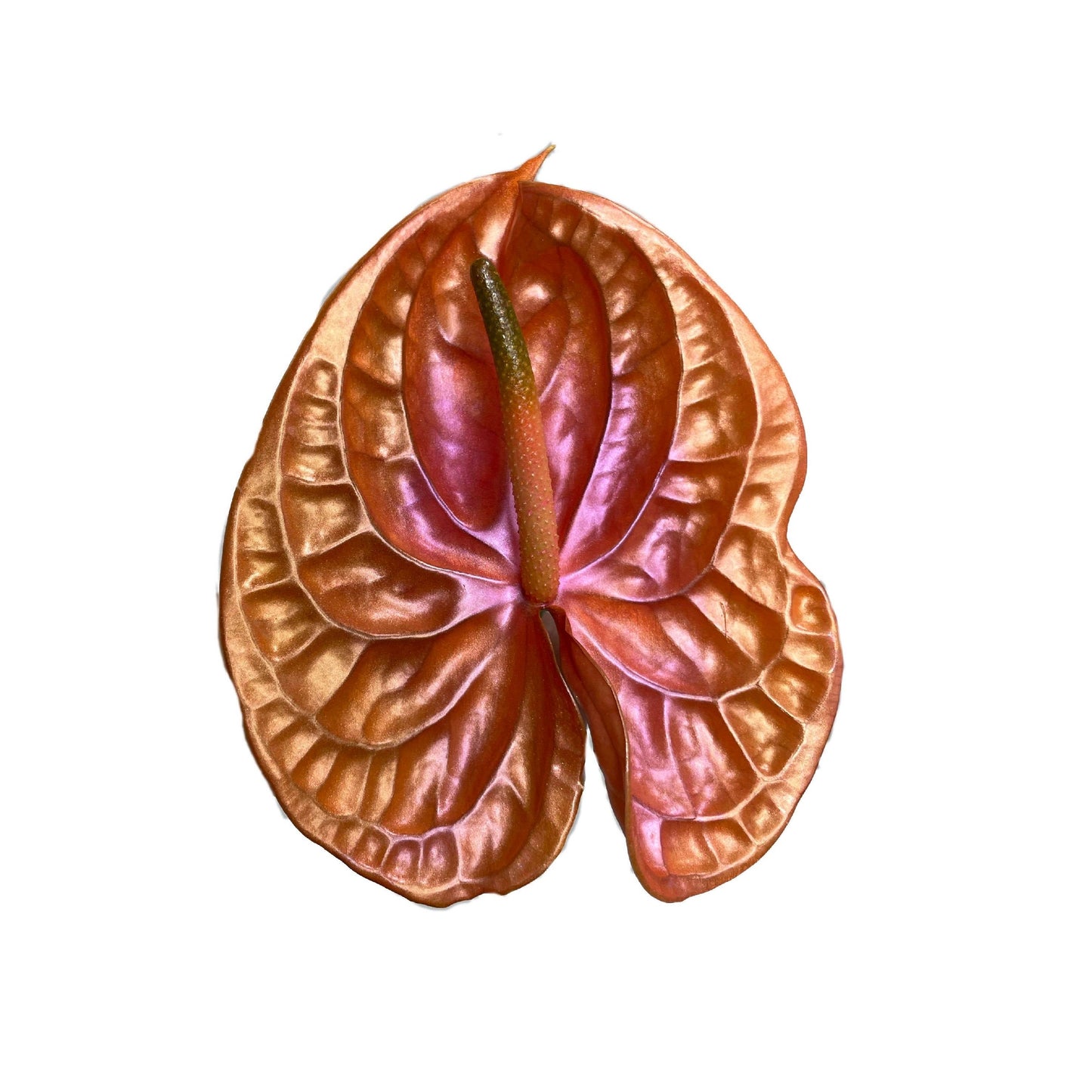 Grapefruit